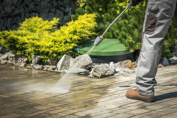 Best Gutter Cleaning and Brightening in Carthage, NC